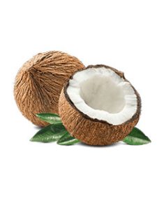 Kokosolie doos BIB10ltr.Natuurgroothandel